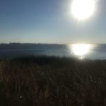 Binz
