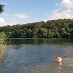 Dolgener See Mecklenburg-Vorpommern