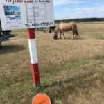 Pferdekoppel Nordfriesland