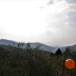Toscana 2