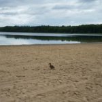 Urlaubsgrüße aus Templin 2