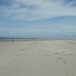 Urlaubsgrüße von der Insel Amrum - Nordsee 2