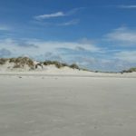 Urlaubsgrüße von der Insel Amrum - Nordsee 3