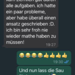 Mathe-Abi Meinung 3