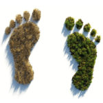 ökologischer Fußabdruck – Fridays for Future